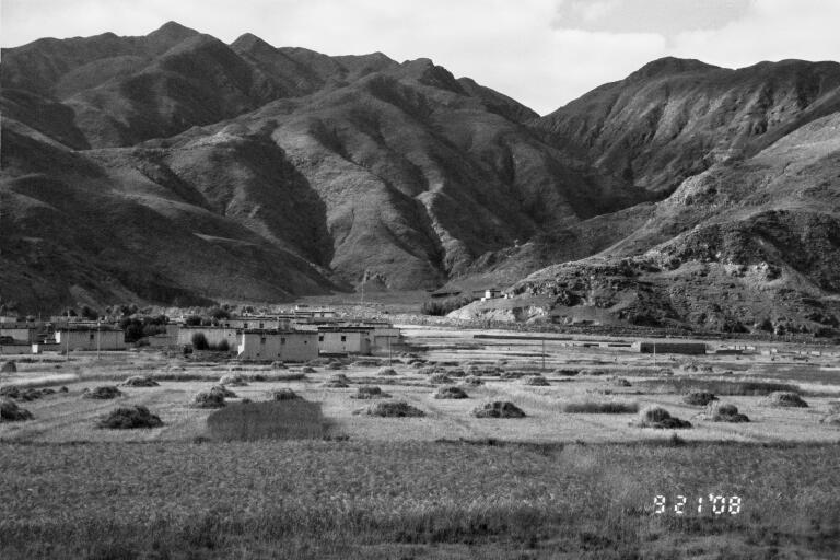 B&W-Harvest time.jpg